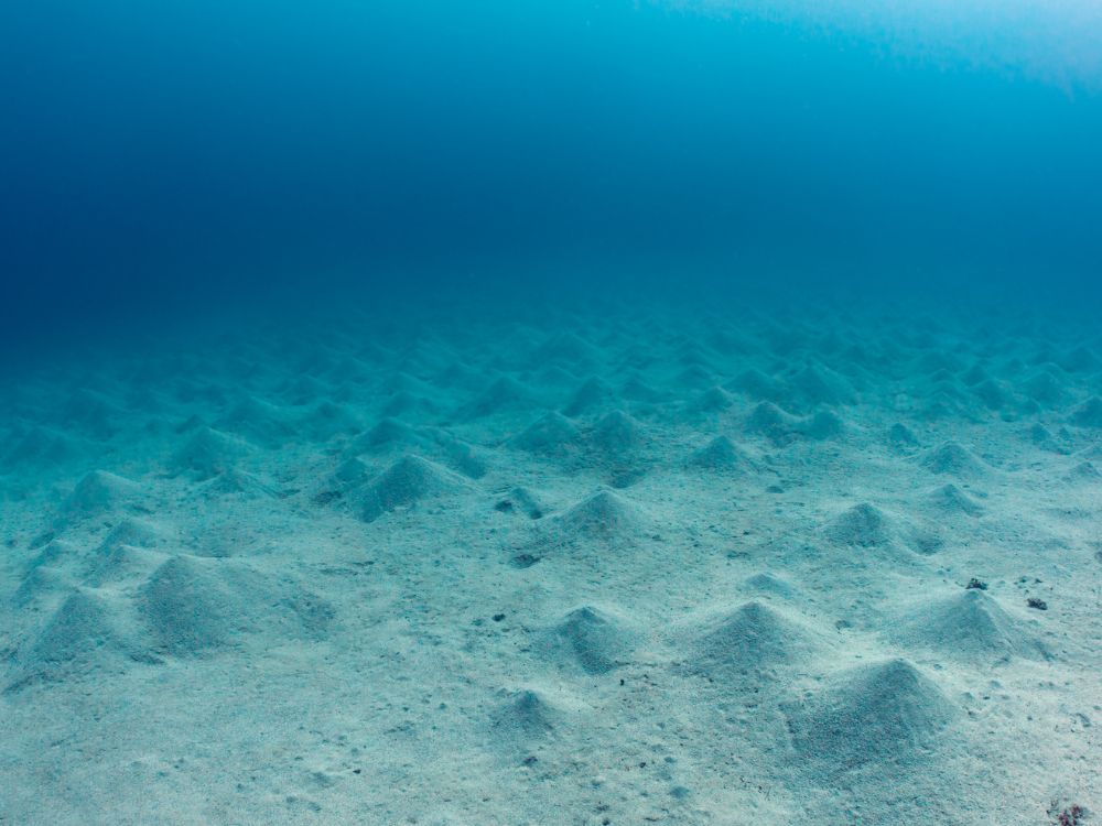 La cartographie des fonds marins des Émirats pour prévoir les séismes